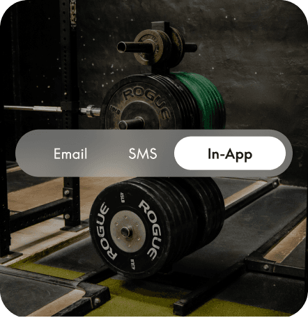 Email, SMS or In-App tabs